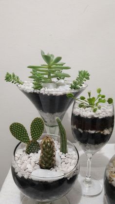 three glass vases filled with plants and rocks on a white tablecloth covered table