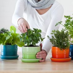 Brighten up your kitchen with these nifty Le Creuset Herb Planters. Kitchen Windowsill, Le Creuset Cookware, Herb Planters, Gourmet Kitchens, Cooking Area, Kitchen Area, Le Creuset