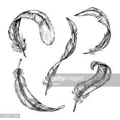 the letter s made out of feathers on a white background stock photo getty images