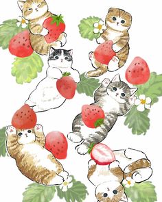 four cats with strawberries on their heads and one cat holding a strawberry in its paws