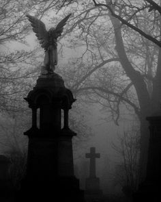 an angel statue on top of a grave in a cemetery surrounded by trees and tombstones