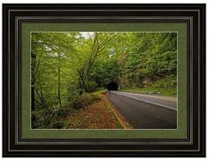 an empty road in the middle of a forest with trees and bushes on both sides