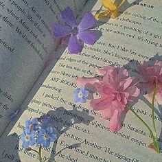 three flowers are placed on the pages of an open book, with shadows from them