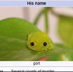 His name, Gort. Several counts of murder. Green