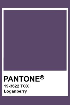 pantone's color is shown in the same shade as it appears to be purple