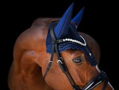 a brown horse wearing a blue bridle with feathers on it's head