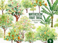 watercolor fruit trees and plants clipart