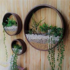 two round metal planters with plants in them on a wall next to a shelf