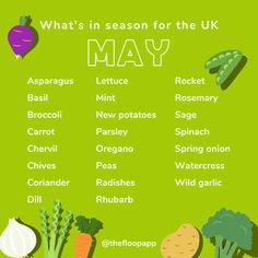 what's in season for the uk to eat? infographical poster on green background