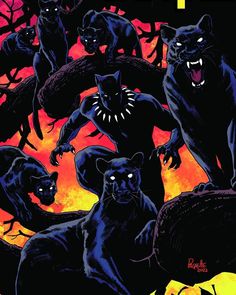 an image of some black cats in the woods