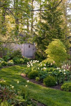 a garden with lots of green grass and flowers