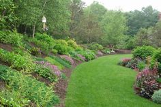 a lush green garden with lots of flowers and trees