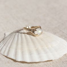 a close up of a shell with a ring on it's side and a sea shell in the background