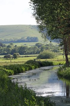 a river running through a lush green countryside