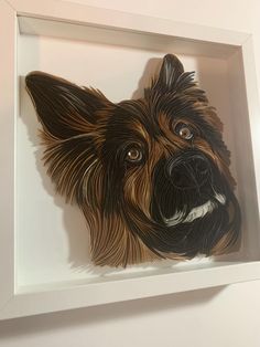 a dog's head is shown in a shadow box on the wall behind it