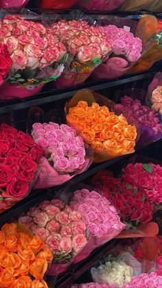 many different colored roses are on display for sale