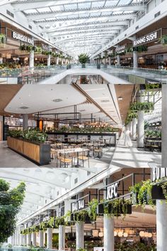 the inside of a building with plants growing in it