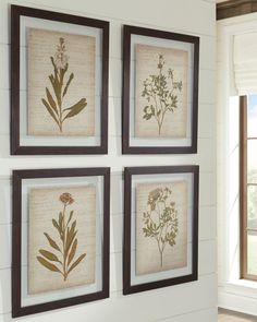 four framed flowers are hanging on the wall in front of a white painted room with wood flooring