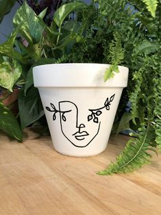 a potted plant sitting on top of a wooden table next to a green plant