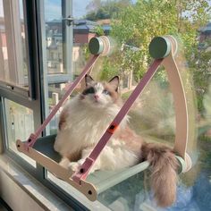 a cat is sitting in a window sill