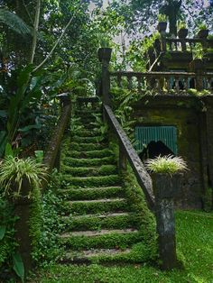 an old set of stairs in the middle of a lush green garden