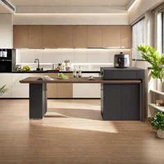 a modern kitchen with wood floors and white cabinets is pictured in this image, there are plants on the counter