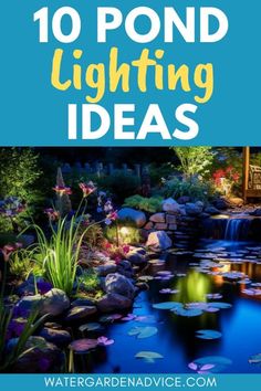 pond lighting ideas with text overlay that reads 10 pond lighting ideas