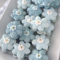 there are many blue flowers in the tray on the table, and one is white