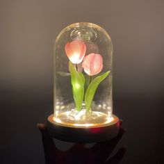 two pink flowers are in a glass dome