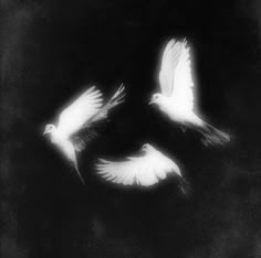 Dark Angelcore, Music Cover Photos, Playlist Covers Photos, Spotify Playlist Covers, Angel Aesthetic, Gothic Aesthetic, Spotify Covers, Goth Aesthetic, Black And White Aesthetic