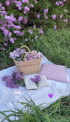 purple flowers and a book on a blanket in the middle of a field with grass