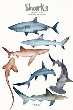 watercolor sharks are shown in different colors