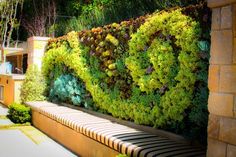 a bench sitting in front of a green wall with plants growing on it's sides