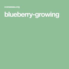 the blueberry growing logo on a green background