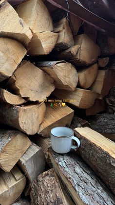 a pile of wood with a cup on top of it and some logs in the background