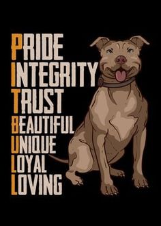 a brown dog sitting on top of a black floor next to a sign that says pride integity trust beautiful unique royal loving