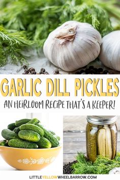 garlic dill pickles an heir recipe that's a keeper by little yellow window