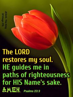 the lord restores my soul he guides me in paths of righteousness for his name's sake