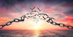 a flock of birds flying over the ocean with a chain link in front of it