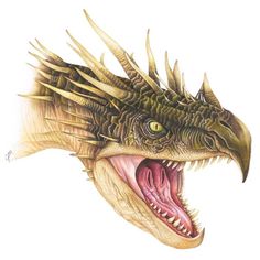 a drawing of a dragon head with its mouth open and sharp teeth, next to colored pencils