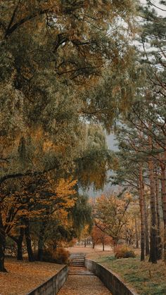 a pathway in the middle of a park with lots of trees and leaves on it