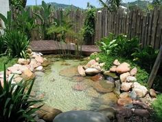 there is a small pond in the middle of this yard with rocks and plants around it