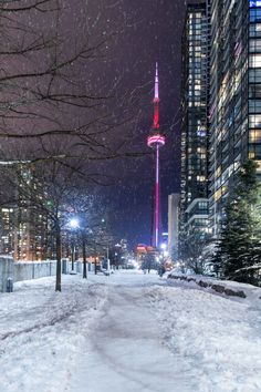 a city street covered in snow at night with tall buildings and trees on both sides