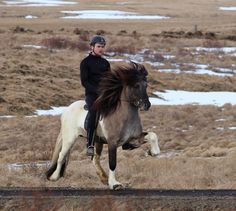 a man riding on the back of a brown and white horse in an open field