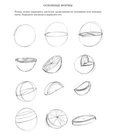 an image of different shapes and sizes of fruit in pencil on white paper, with the title