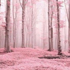 a pink forest filled with lots of trees