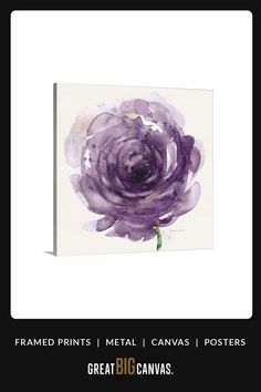 a purple flower on a white background with the words, framed prints metal canvass posters