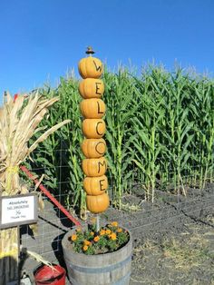 pumpkins are stacked on top of each other in a barrel next to a corn field