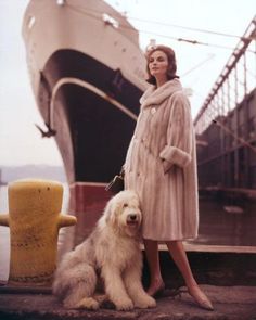 New York Harbor, Elsa Schiaparelli, English Sheepdog, Old English Sheepdog, Foto Poses, 1960s Fashion, Christian Lacroix