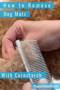 a person holding a comb over a dog's fur with the words how to remove dog mats